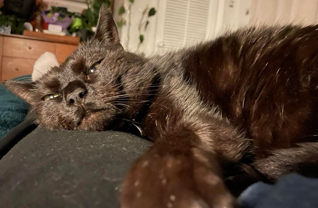 Testing Suggested Edits Not Narrative