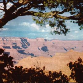 Grand Canyon postcard